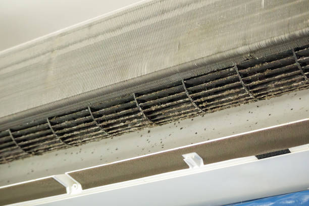 Best Ductwork Cleaning Services  in Stockton, MO