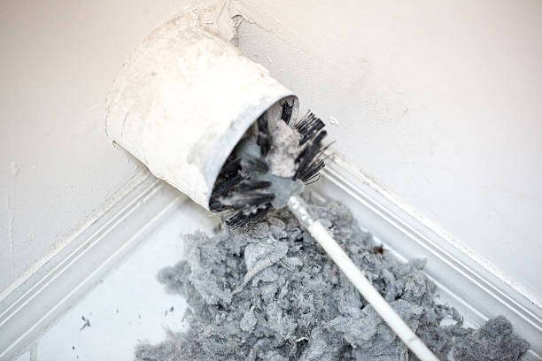 Best Professional Duct Cleaning Services  in Stockton, MO